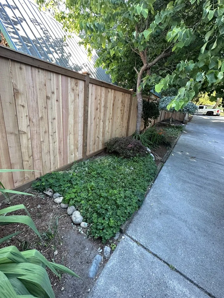 Affordable yard maintenance for residential properties in Bremerton, WA by Tropical Planet Landscaping