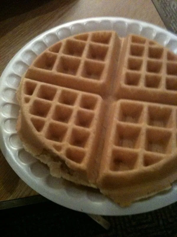 Trusted lawn care service in Bremerton, WA - Tropical Planet Landscaping