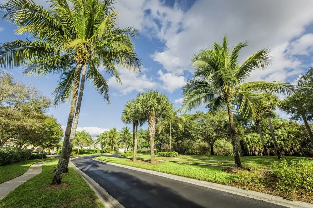 Trusted landscape design for year-round maintenance across Miami, FL - Tropical Plant Providers