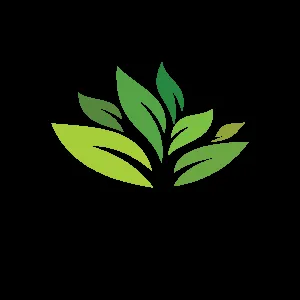 Expert landscape installation with custom design in Miami, FL by Tropical Plant Providers