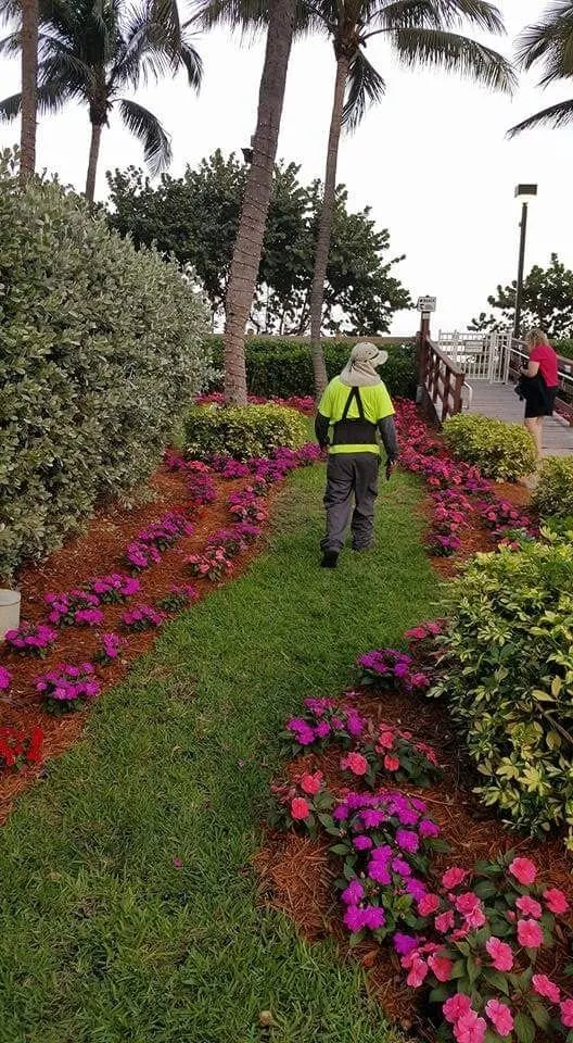 Local lawn mowing service in Miami, FL - Tropical Plant Providers