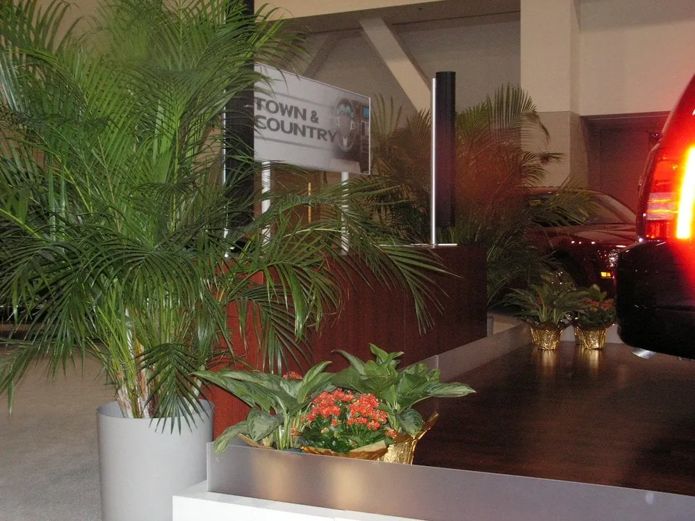 Reliable garden landscaping experts serving Waukesha, WI - Tropical Plant Rentals by Treescapes