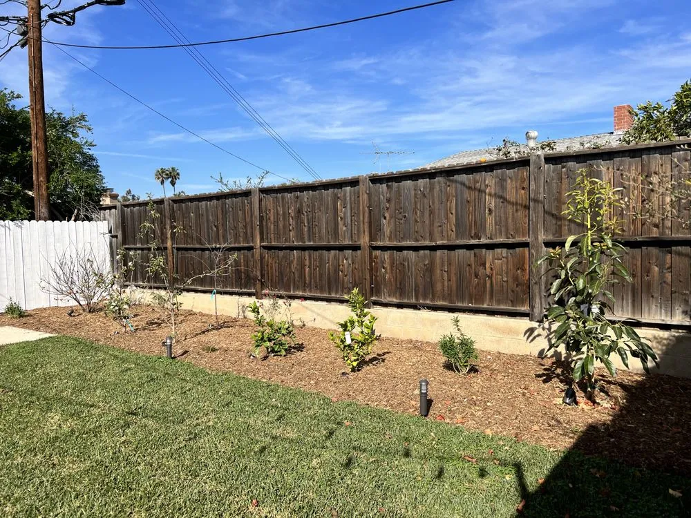 Reliable yard cleanup service in Villa Park, CA by Tropical Plaza