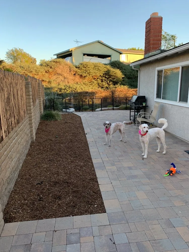 Local landscaping services for beautiful yards in Villa Park, CA by Tropical Plaza