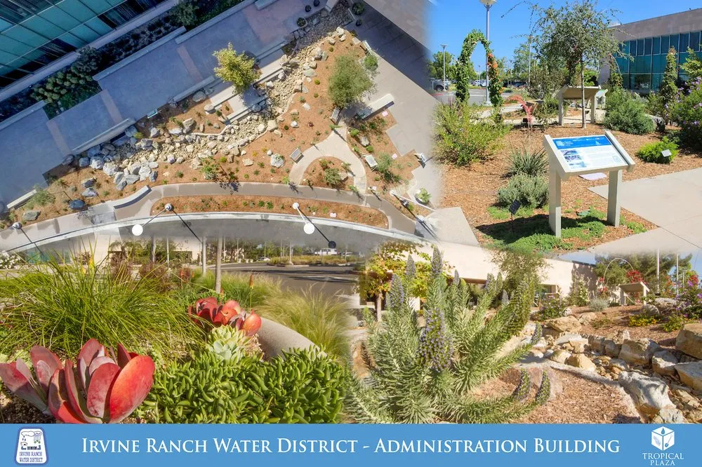 Expert landscape installation for homes across Villa Park, CA - Tropical Plaza