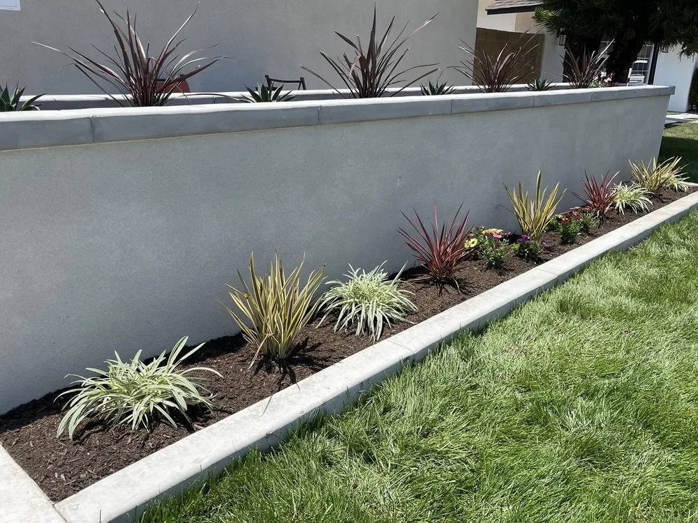 Custom landscaping services in Villa Park, CA by Tropical Plaza