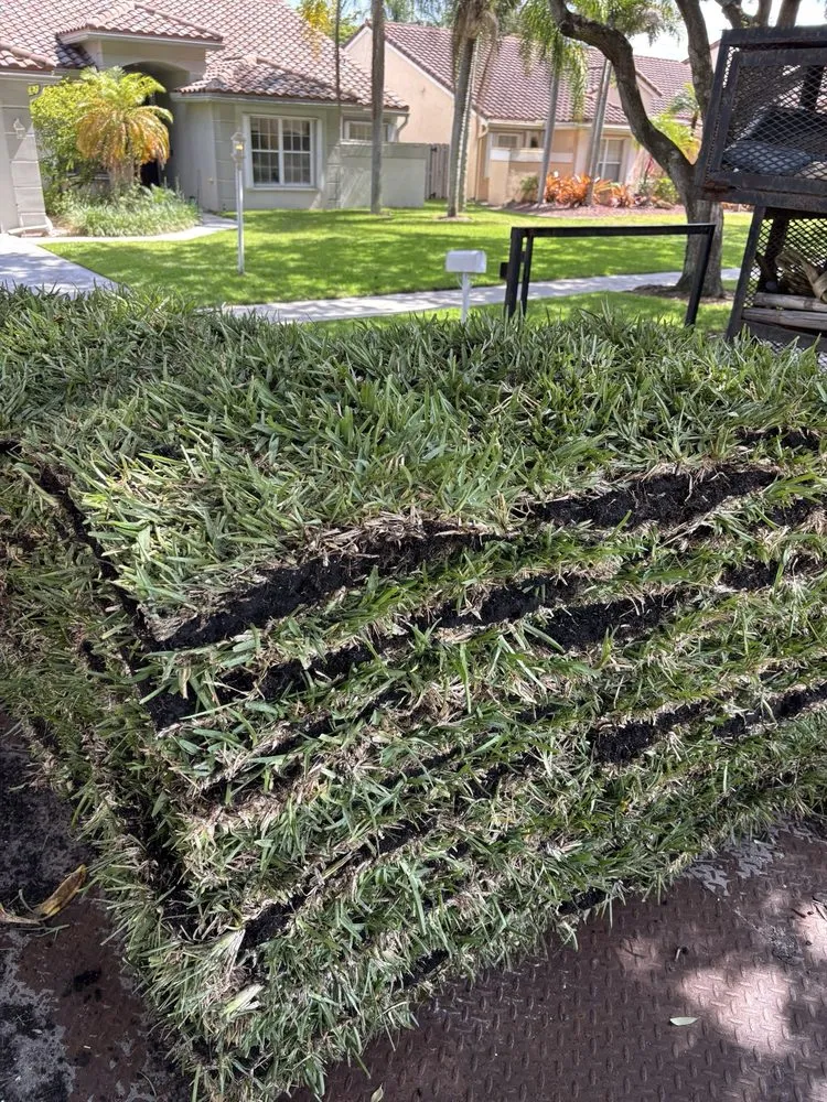 Reliable yard cleanup service in Boca Raton, FL by Tropical Precision Lawns