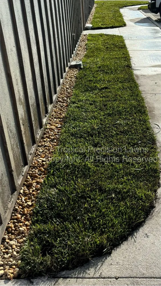 Professional yard cleanup service in Boca Raton, FL - Tropical Precision Lawns