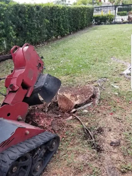 Top-rated outdoor landscaping in Cutler Bay, FL by Tropical South Landscaping