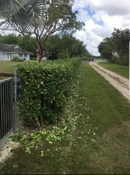 Professional lawn mowing service for beautiful yards across Cutler Bay, FL - Tropical South Landscaping