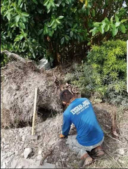 Custom landscape design in Cutler Bay, FL - Tropical South Landscaping