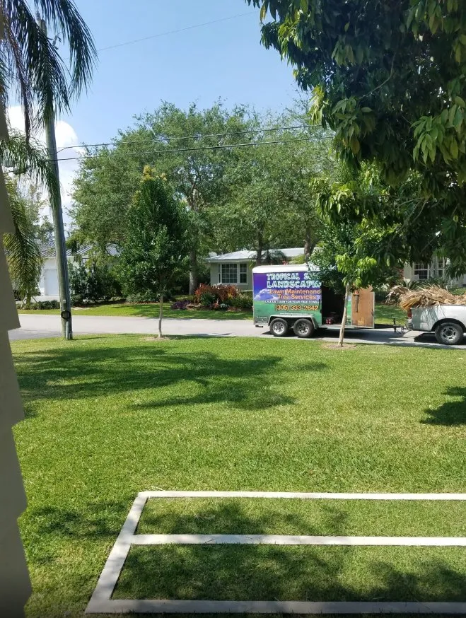 Affordable landscape installation in Cutler Bay, FL - Tropical South Landscaping