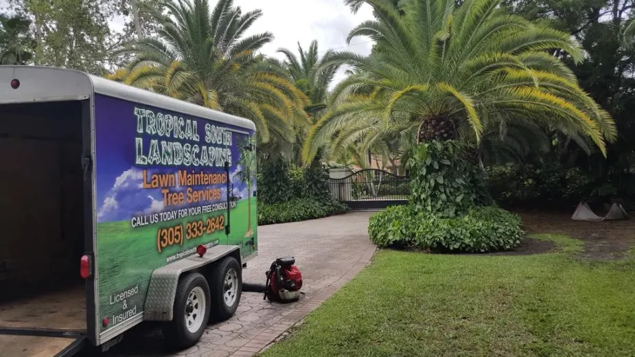 Reliable lawn care service in Cutler Bay, FL - Tropical South Landscaping