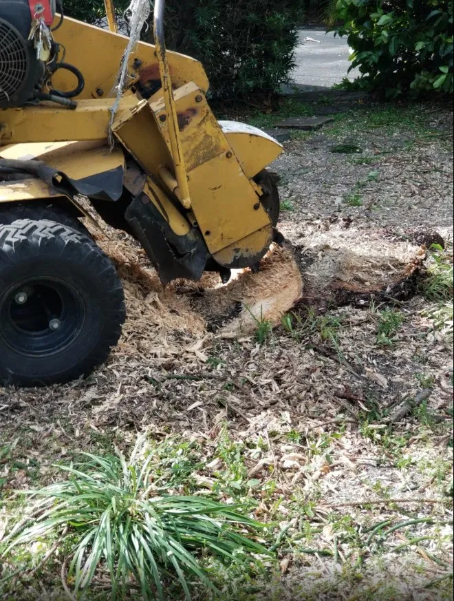 Top-rated yard cleanup service experts serving Cutler Bay, FL - Tropical South Landscaping