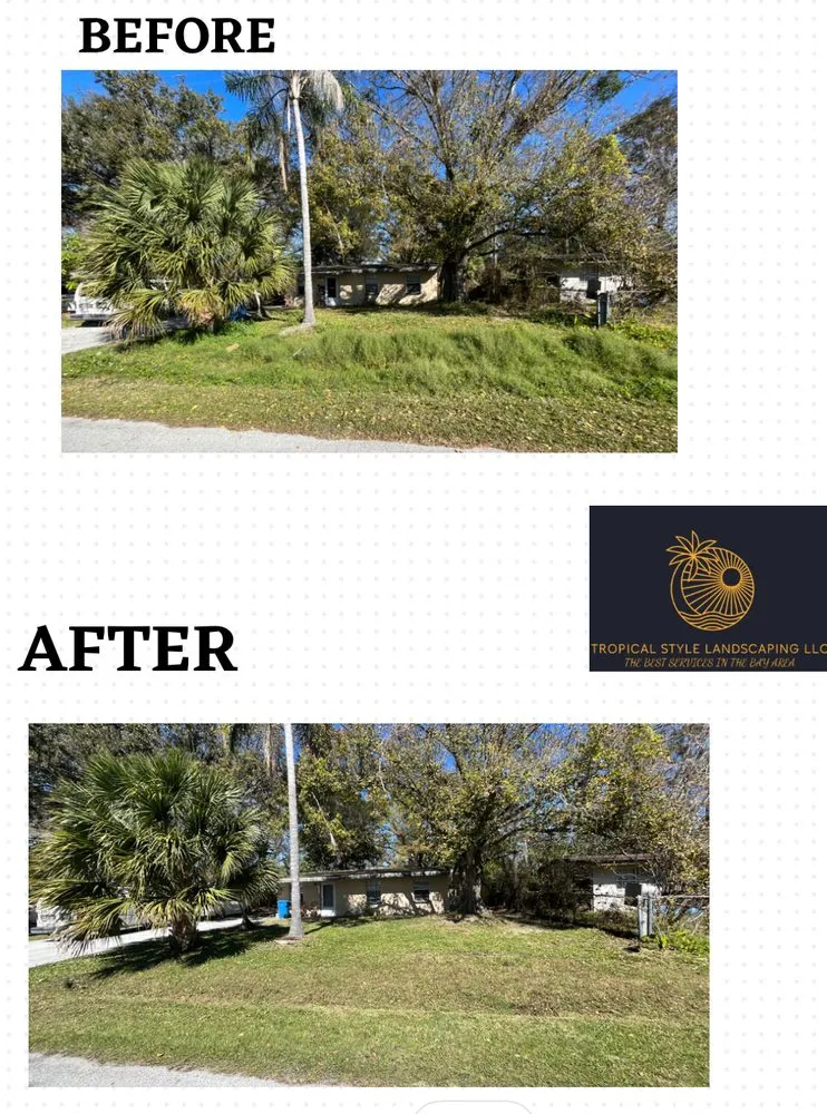 Professional outdoor landscaping experts serving Tampa, FL - Tropical Style Landscaping