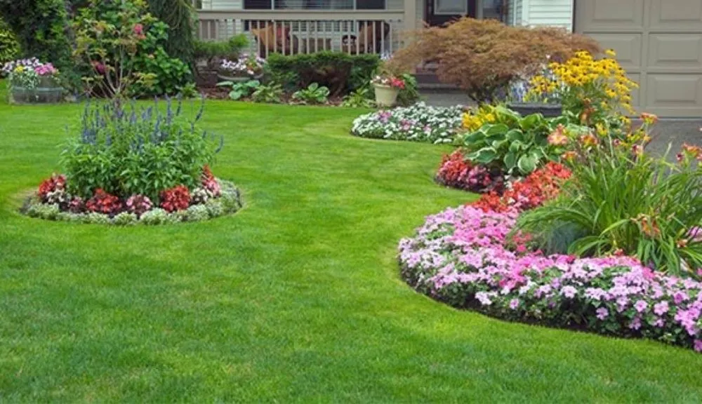 Local lawn mowing service experts serving Cypress Gardens, FL - Tropical Sunshine Lawn Service