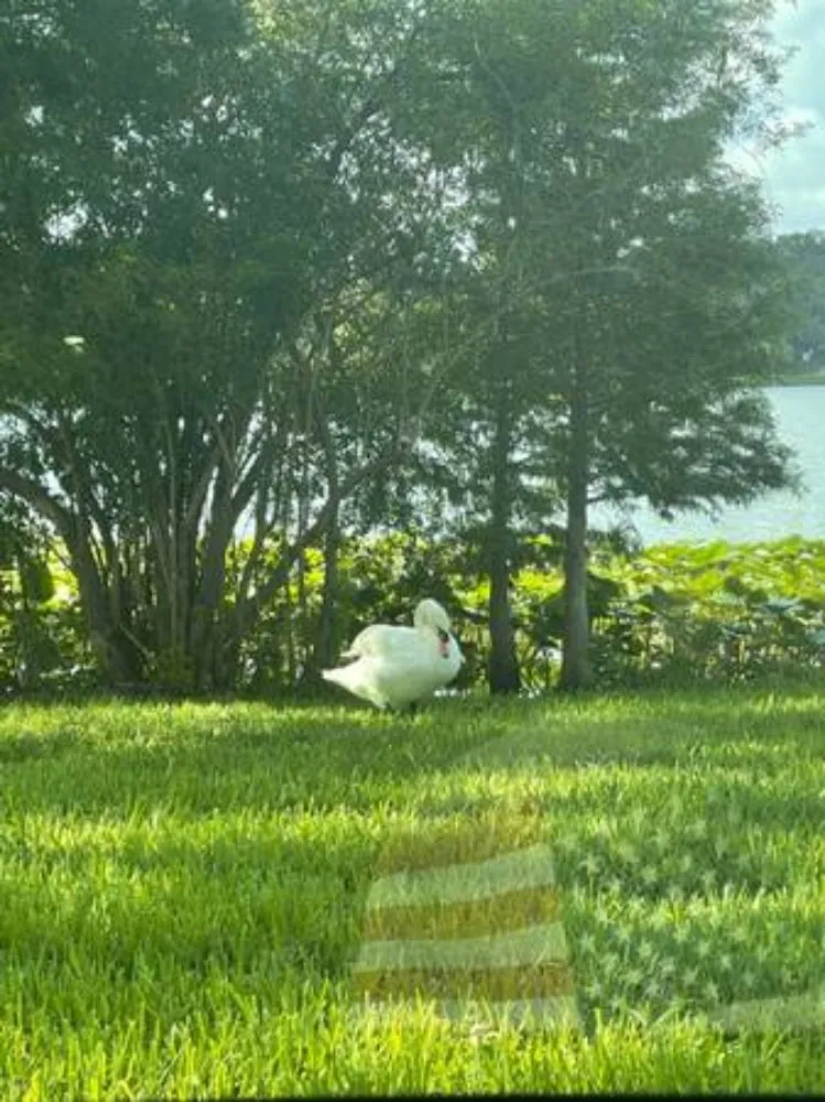 Reliable outdoor landscaping for residential properties across Cypress Gardens, FL - Tropical Sunshine Lawn Service