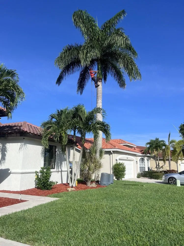 Professional lawn mowing service in Boynton Beach, FL - Tropical Tree and Landscape