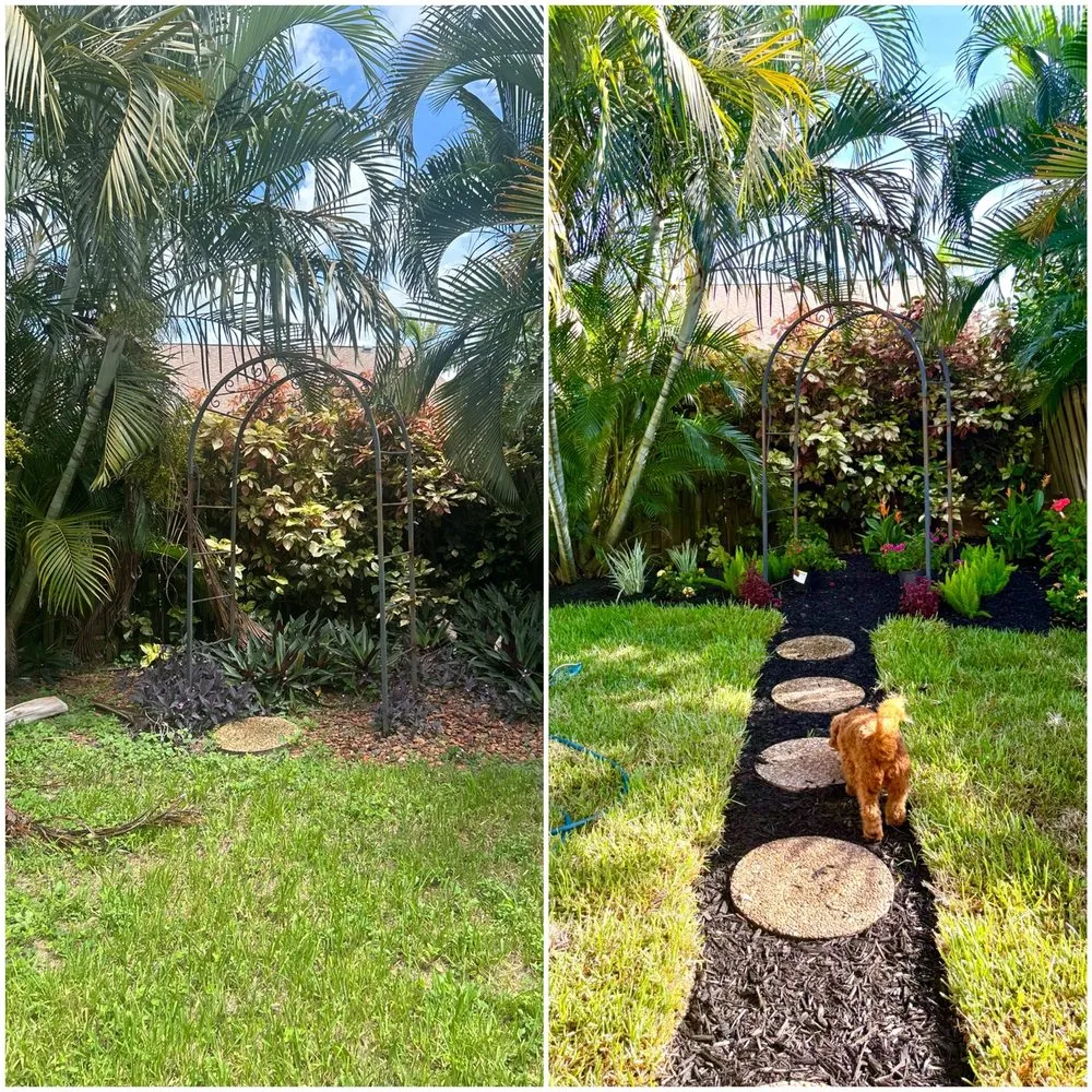 Local yard maintenance for residential properties across Boynton Beach, FL - Tropical Tree and Landscape