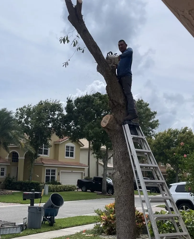 Custom landscape design in Boynton Beach, FL by Tropical Tree and Landscape