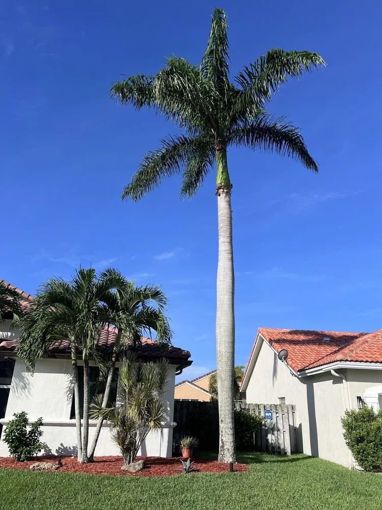 Affordable outdoor landscaping near you in Boynton Beach, FL by Tropical Tree and Landscape