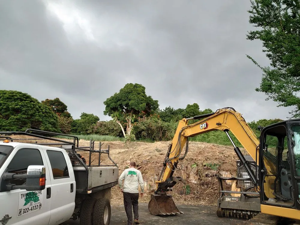 Reliable landscape design for beautiful yards across Kailua-Kona, HI - Tropical Tree Care