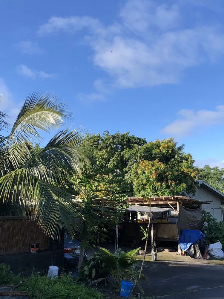Custom yard maintenance for beautiful yards across Kailua-Kona, HI - Tropical Tree Care