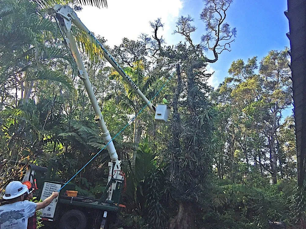 Expert landscape design for year-round maintenance in Kailua-Kona, HI by Tropical Tree Care