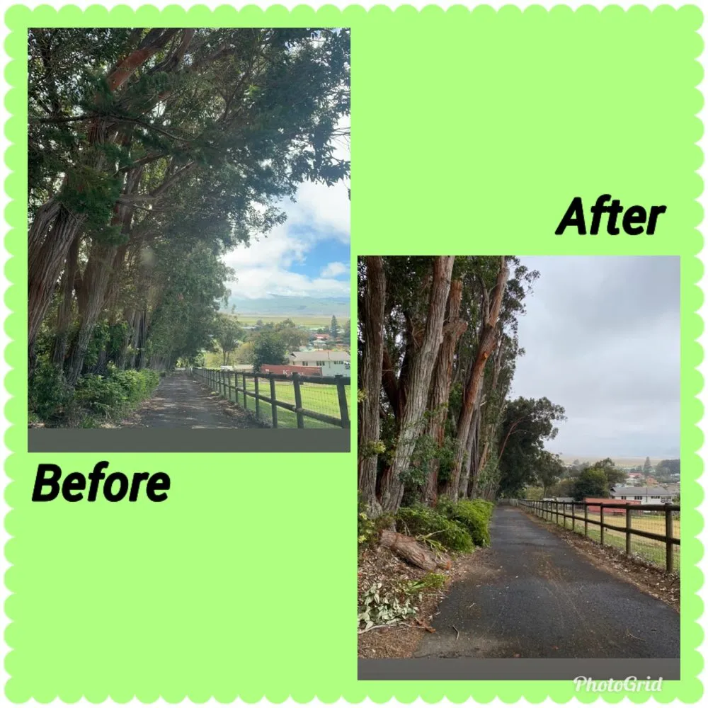 Local landscape installation in Kailua-Kona, HI by Tropical Tree Care