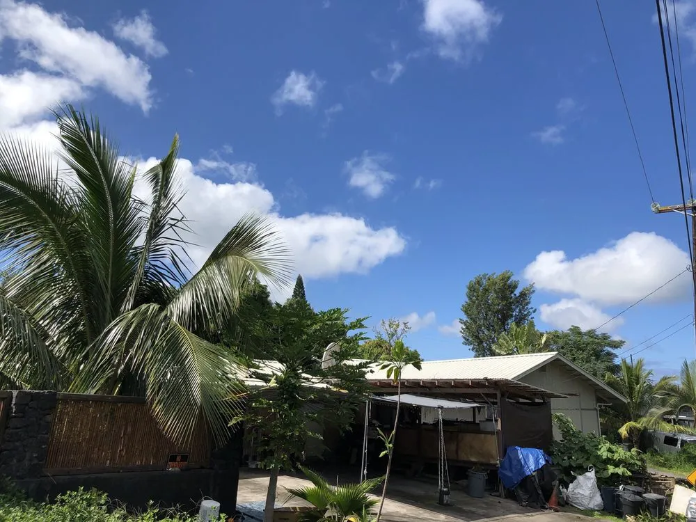 Affordable residential landscaping in Kailua-Kona, HI by Tropical Tree Care