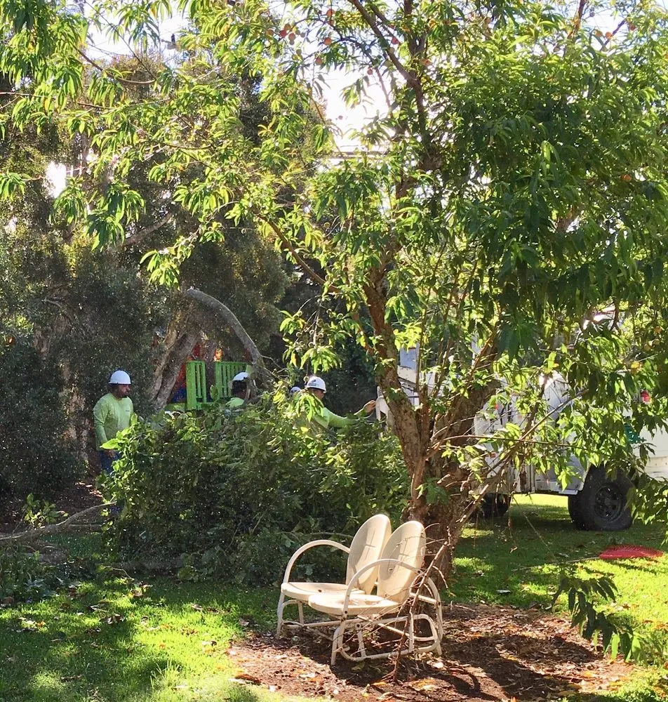 Local lawn mowing service in Kailua-Kona, HI by Tropical Tree Care