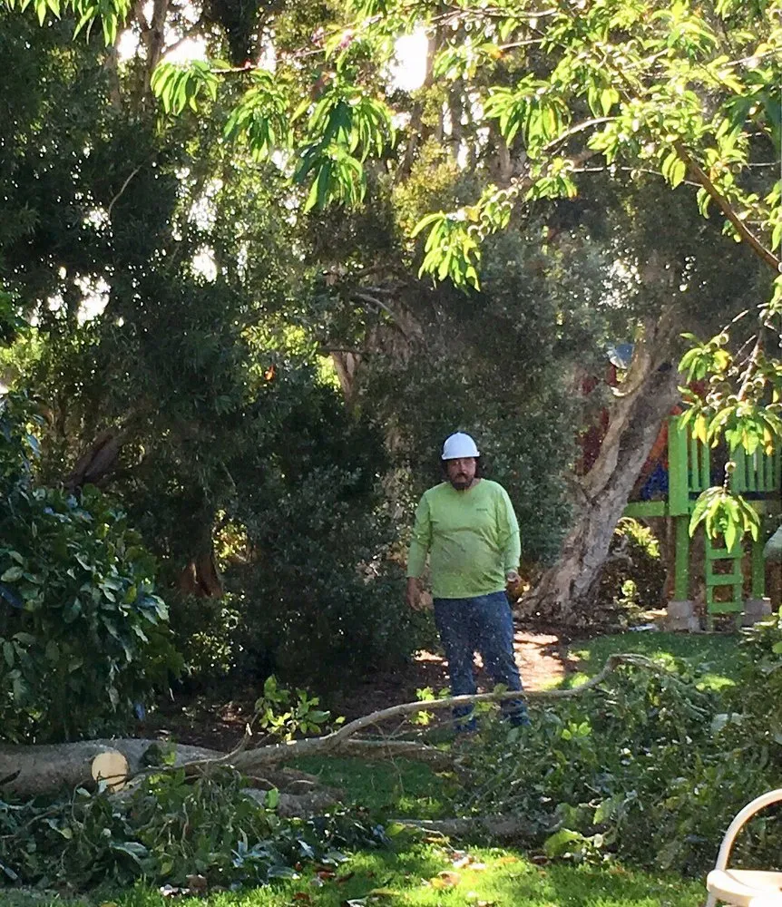 Top-rated outdoor landscaping experts serving Kailua-Kona, HI - Tropical Tree Care