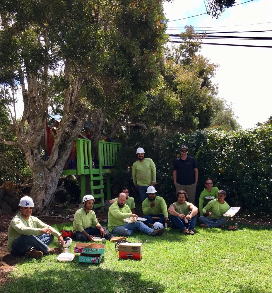 Expert yard cleanup service near you across Kailua-Kona, HI - Tropical Tree Care