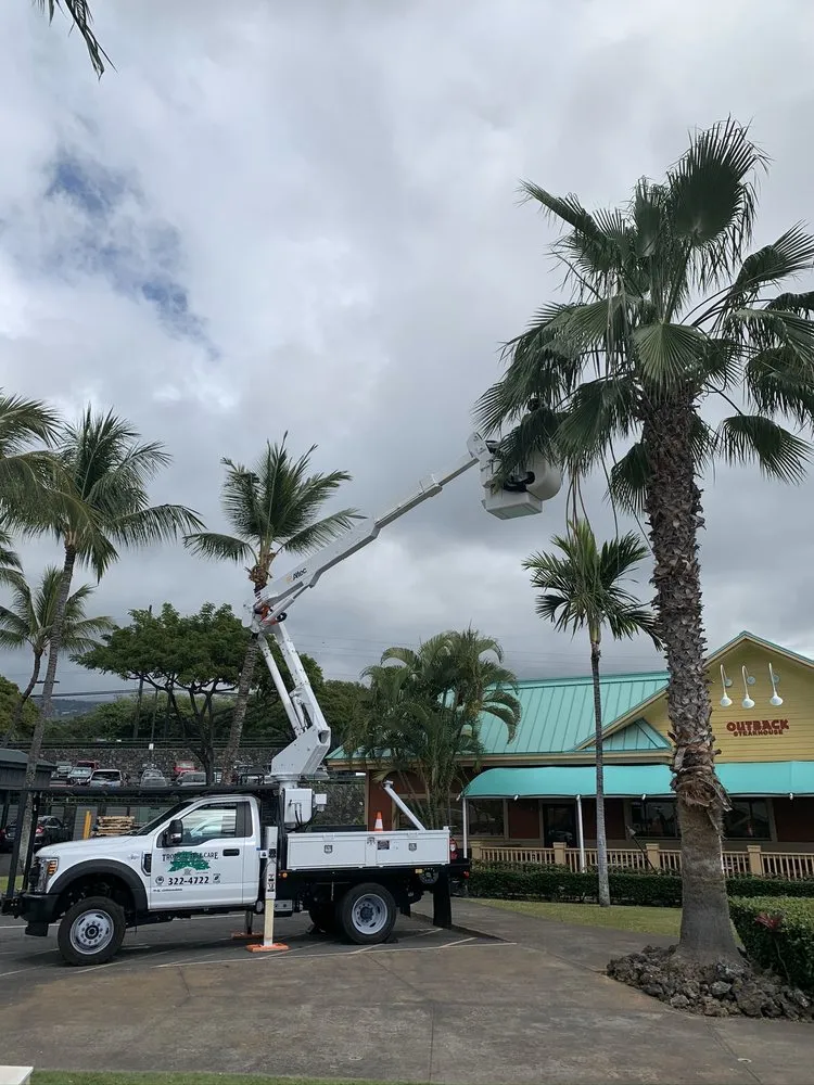 Custom landscape installation for residential properties in Kailua-Kona, HI by Tropical Tree Care