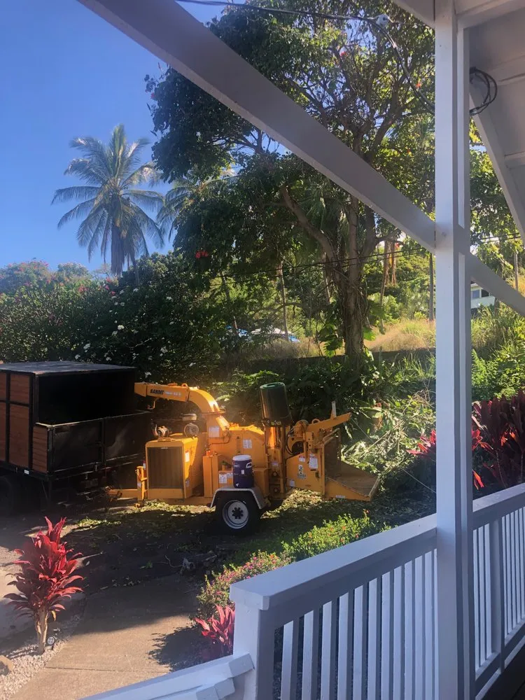 Expert residential landscaping for beautiful yards in Kailua-Kona, HI by Tropical Tree Care