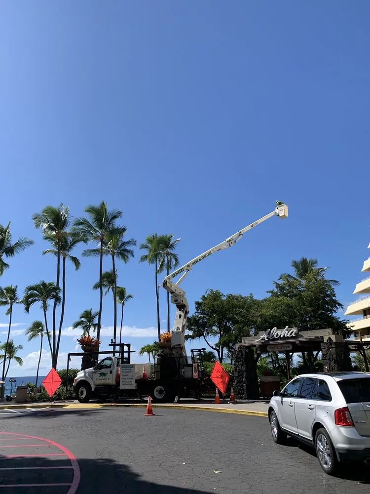 Professional residential landscaping experts serving Kailua-Kona, HI - Tropical Tree Care