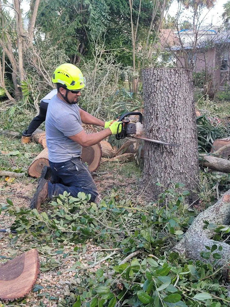 Top-rated lawn mowing service in Bradenton, FL - Tropical Tree Service & Landscaping