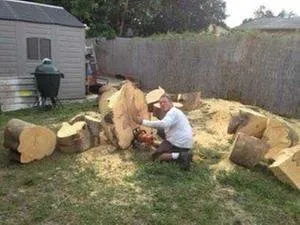 Top-rated lawn mowing service in Palmetto Bay, FL by Tropical Tree Trimming and landscaping