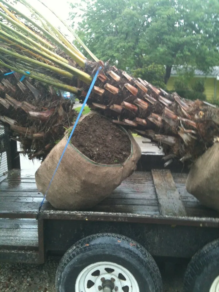 Top-rated outdoor landscaping experts serving Palmetto Bay, FL - Tropical Tree Trimming and landscaping