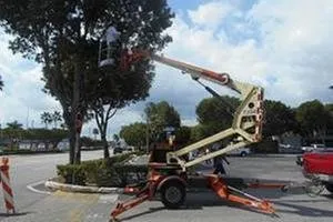 Expert yard cleanup service experts serving Palmetto Bay, FL - Tropical Tree Trimming and landscaping