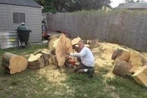 Professional garden landscaping with custom design across Palmetto Bay, FL - Tropical Tree Trimming and landscaping