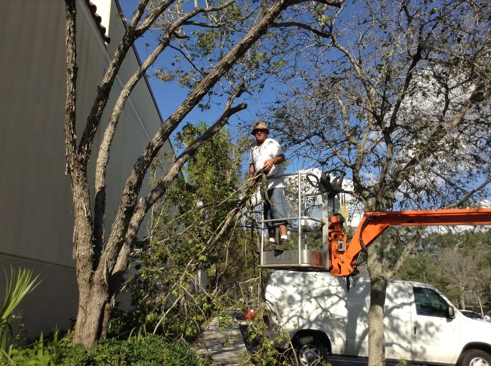 Local landscaping services in Palmetto Bay, FL by Tropical Tree Trimming and landscaping