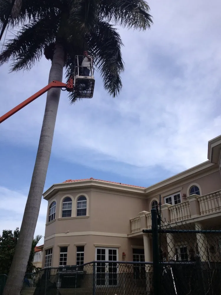 Affordable yard maintenance for beautiful yards in Palmetto Bay, FL by Tropical Tree Trimming and landscaping