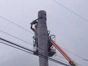 Top-rated lawn mowing service for homes across Palmetto Bay, FL - Tropical Tree Trimming and landscaping