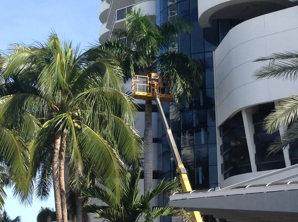 Expert outdoor landscaping in Palmetto Bay, FL by Tropical Tree Trimming and landscaping