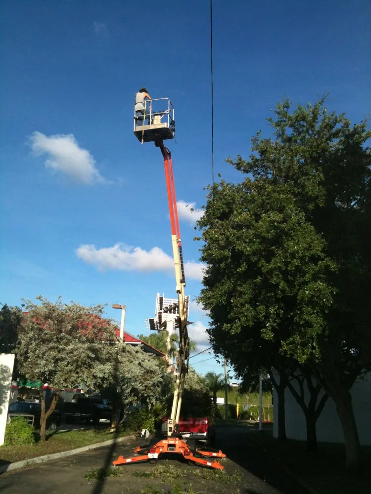 Top-rated lawn care service experts serving Palmetto Bay, FL - Tropical Tree Trimming and landscaping