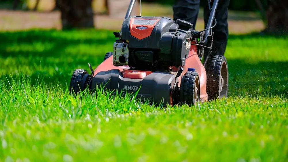Custom landscape design in North Port, FL by Tropical Turf Lawn Care