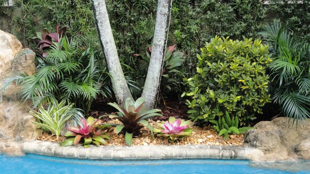 Custom residential landscaping in Cooper City, FL by Tropical View Landscape