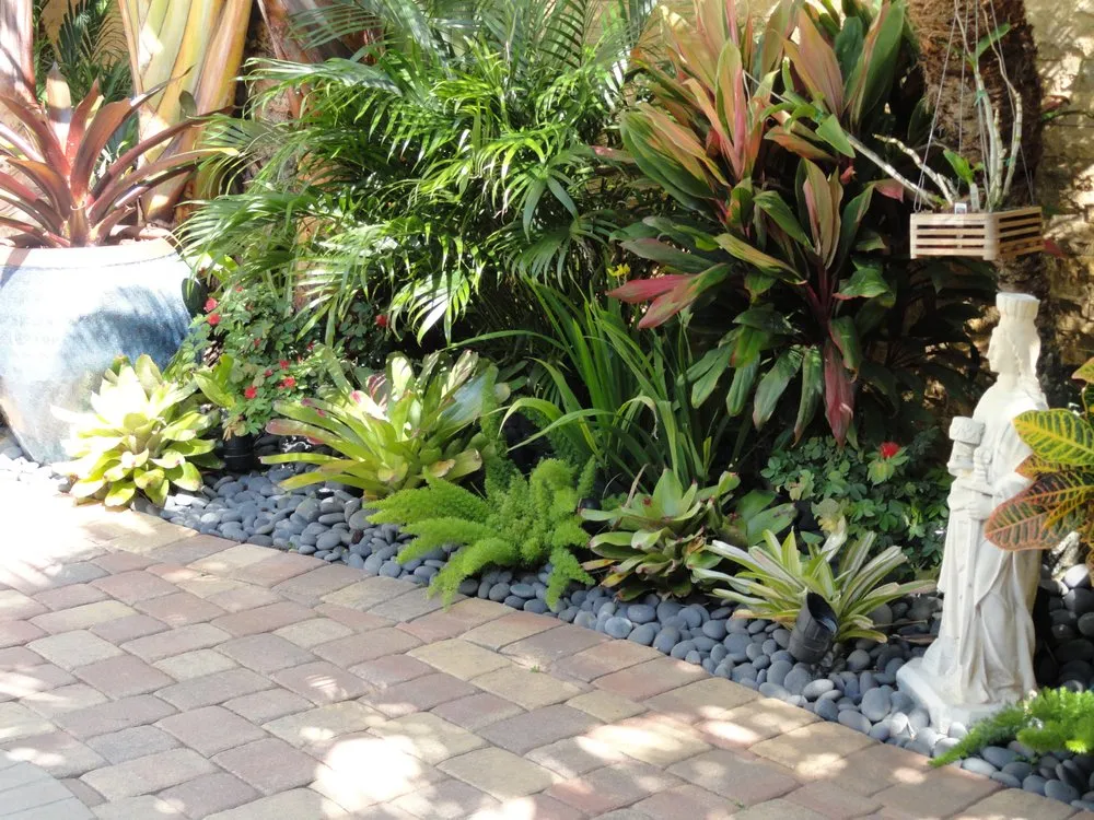 Reliable yard maintenance in Cooper City, FL by Tropical View Landscape