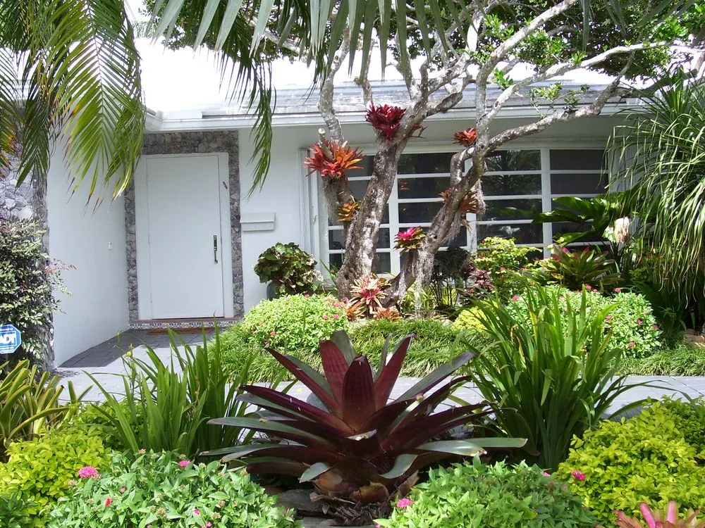 Affordable yard cleanup service in Cooper City, FL - Tropical View Landscape